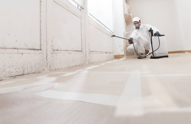 24/7 Emergency Mold Removal experts in Riverview, MI